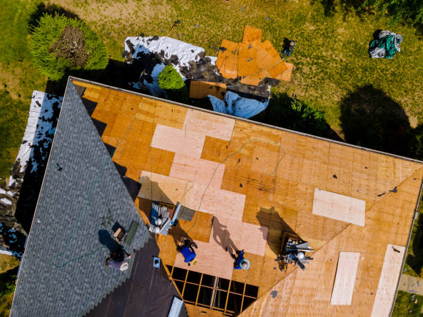 Best Roof Gutter Cleaning  in Eleanor, WV