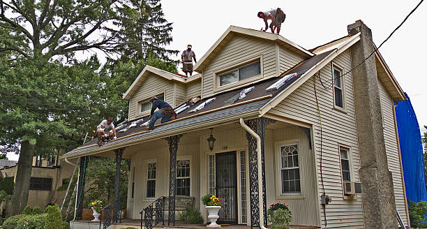 Best Roof Leak Repair  in Eleanor, WV