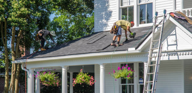 Best Local Roofing Companies  in Eleanor, WV